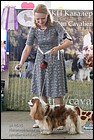 БРАЙТЛАЙТ ОФ МОСКОУ ДИДЖ exc2 CC (2).jpg